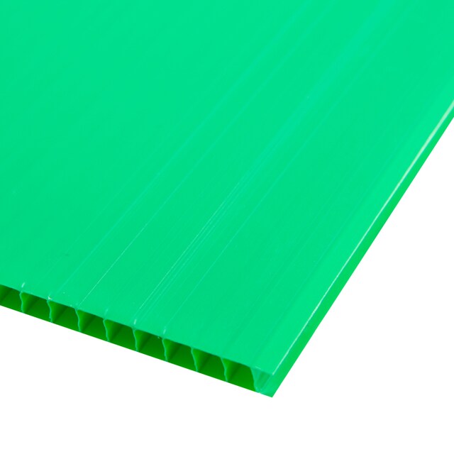 My Image 62